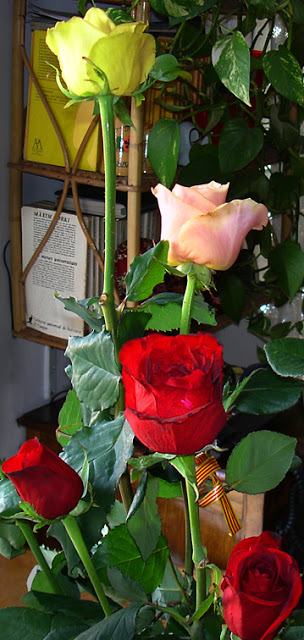 rosa Sant_Jordi2 Xavier Pujol